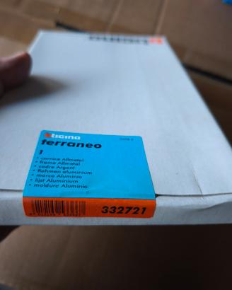 BTicino cornice alluminio 