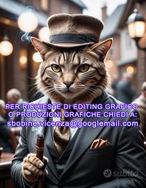 Grafico creatore di contenuti digitali