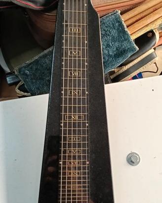 Chitarra Lap stell modello Rossetti