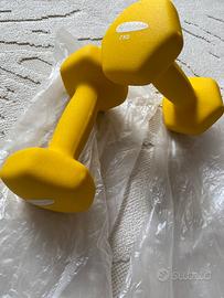 Manubri esagonali Active Forever (coppia) 2KG