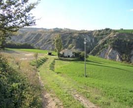 IN CER CA DI UN TERRENO AGRICOLO a MONTERUBBIANO ?