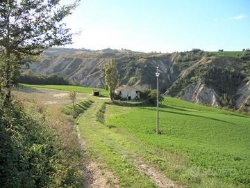 IN CER CA DI UN TERRENO AGRICOLO a MONTERUBBIANO ?