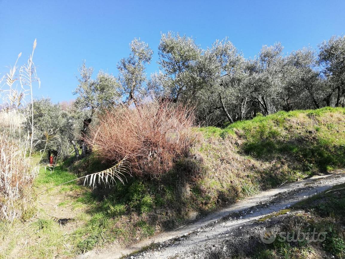 TER. RESIDENZIALE A OLEVANO ROMANO - Vista 3
