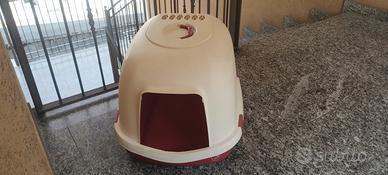cuccia