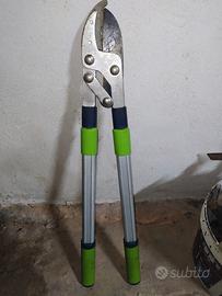 Troncarami telescopico 