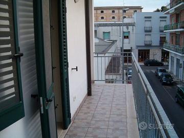 Bilocale (una sola letto) zona universitaria