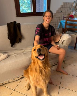 Accoppiamento golden retriver