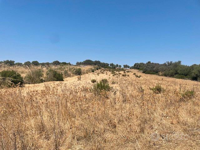 Terreno agricolo /vigneto - Vista 4