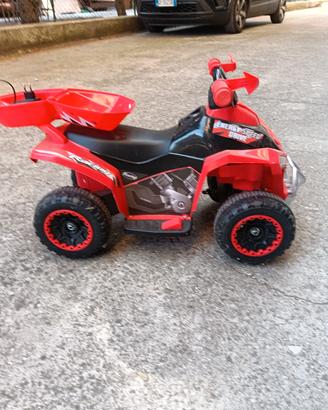 moto elettrica 