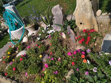  sassi x giardino roccioso e polietilene 