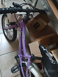 bicicletta seminuova