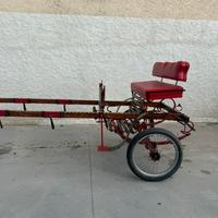 Carrozzino per cavallo