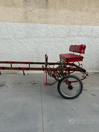 Carrozzino per cavallo
