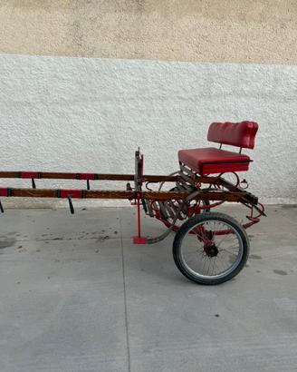 Carrozzino per cavallo