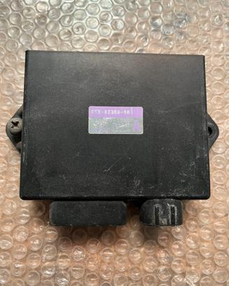 YAMAHA TDM 850