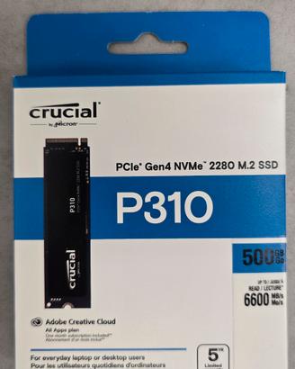 Lotto Hardware:SSD m.2 nuovi + RAM da 16GB 