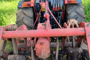 Vangatrice selvatici