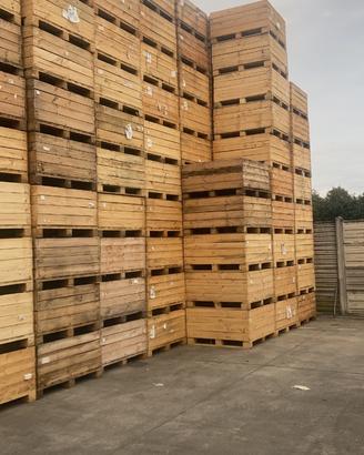 Bins, cassoni, ceste in legno