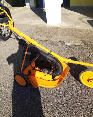 Tagliaerba AS Motor