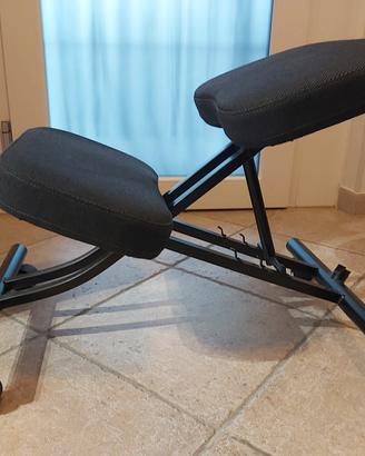 Sedia posturale Ikea EIFRED