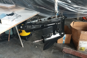 Piede Suzuki DF 250 TX