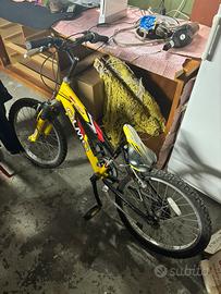 Bicicletta olmo bambini