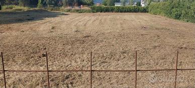 Terreno agricolo v.ze Riglione