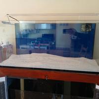 acquario marino completo 