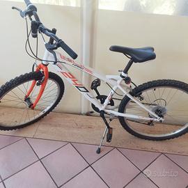 bicicletta