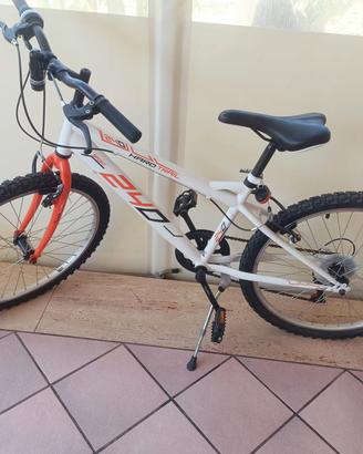 bicicletta
