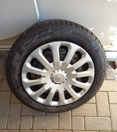 gomme auto