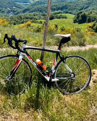 scapin