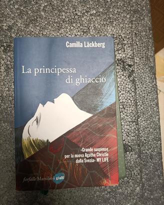 la principessa di chiaccio.