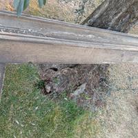 trave per camino in legno antica da villa veneta