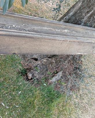 trave per camino in legno antica da villa veneta