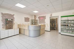 Immobile di 794 m² con più di 5 locali a Limena