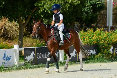 Cavallo