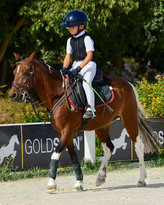 Cavallo