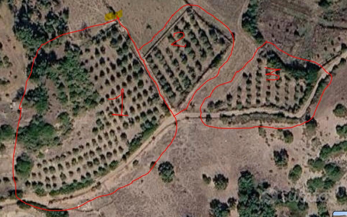 Terreno edificabile con uliveto - Vista 4