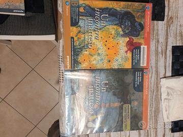 UN INCONTRO INATTESO