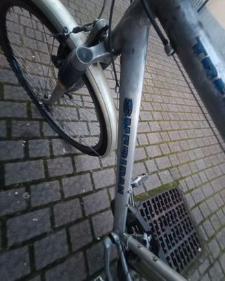 Bicicletta scheridan