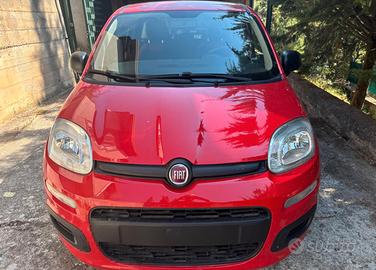 FIAT PANDA EASY SERIE 3 S.&S. (2018)