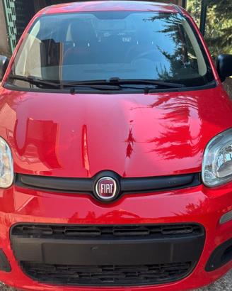 FIAT PANDA EASY SERIE 3 S.&S. (2018)