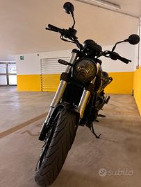 BENELLI LEONCINO 500