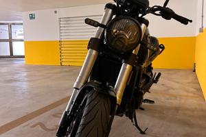 BENELLI LEONCINO 500