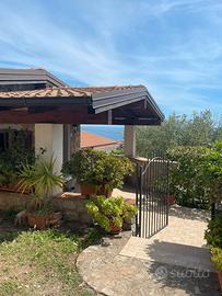 Estate a Marina Di Camerota 2026