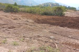Terreno Enna bassa zona Pergusa
