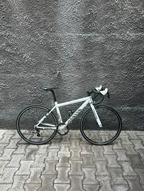 Bici da corsa canyon 24