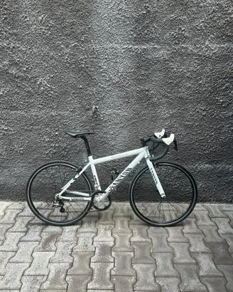 Bici da corsa canyon 24