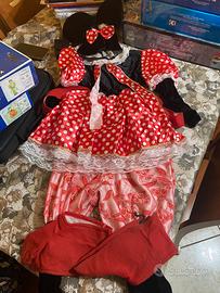 vestito carnevale bambina